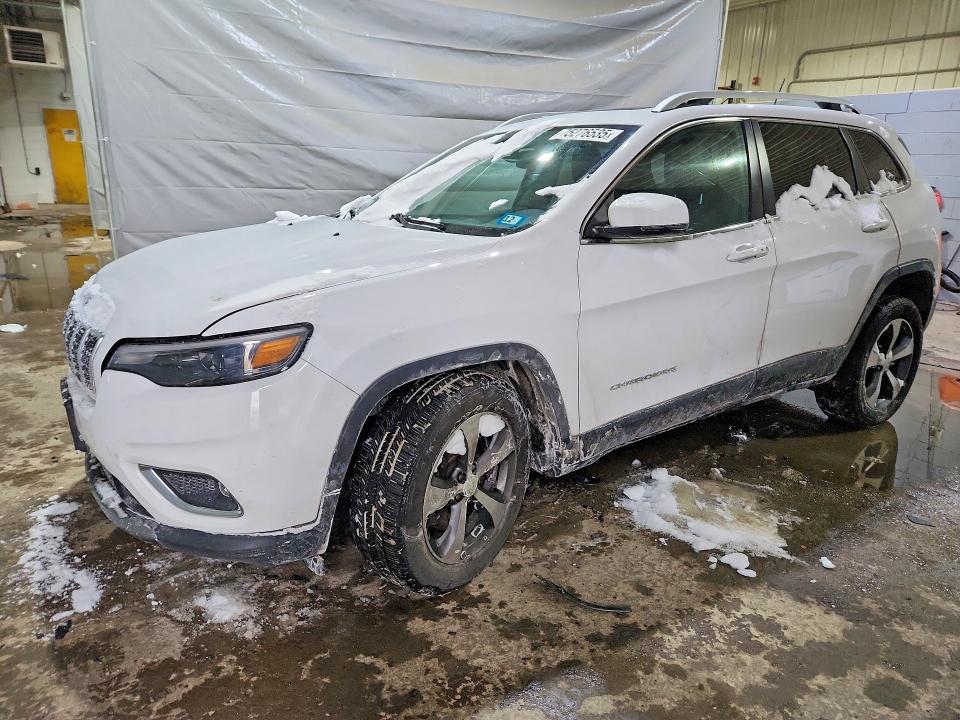 JEEP CHEROKEE 2019 with VIN 1C4PJMDX1KD231804 - Photo from auction