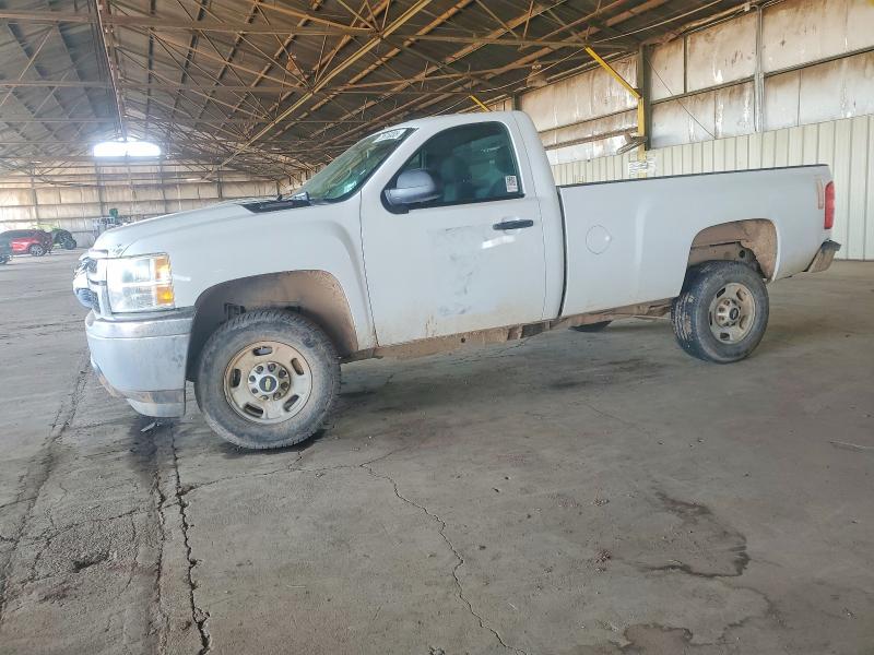 CHEVROLET SILVERADO 2013 with VIN 1GC0CVCG5DF197862 - Photo from auction