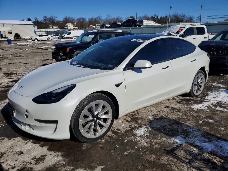TESLA MODEL 3 2021 with VIN 5YJ3E1EA8MF051923 - Photo from auction