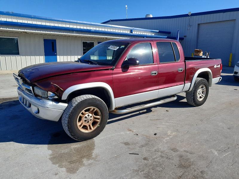 DODGE DAKOTA QUA 2003 with VIN 1D7HG48N03S204138 - Photo from auction
