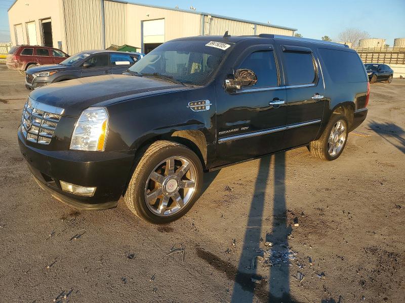 CADILLAC ESCALADE 2010 with VIN 1GYUCJEF0AR149401 - Photo from auction