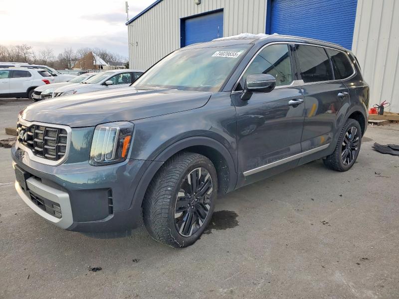 KIA TELLURIDE 2023 with VIN 5XYP5DGC0PG399990 - Photo from auction