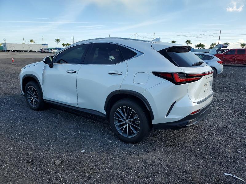 Photo 2 from auction – 2025 LEXUS NX 250 PRE with VIN 2T2GDCAZ0SC031139