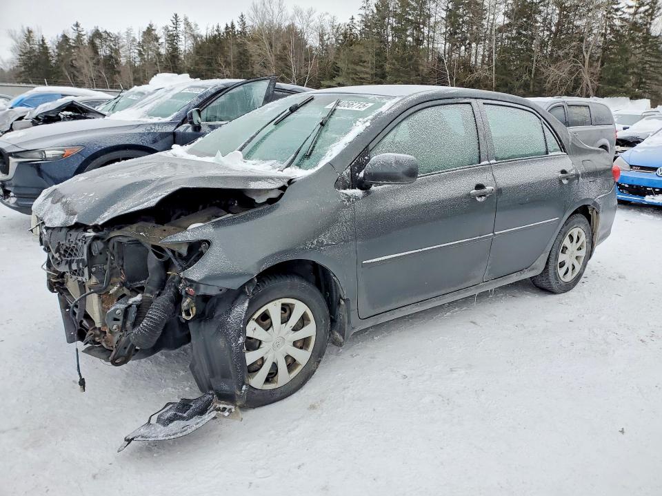 TOYOTA COROLLA BA 2011 with VIN 2T1BU4EE1BC703592 - Photo from auction