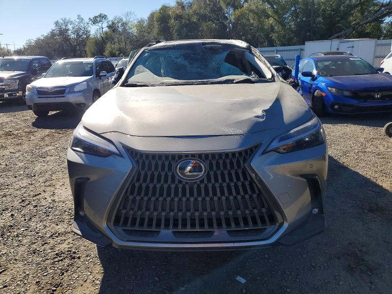 Photo 5 from auction – 2026 LEXUS NX with VIN 2T2GGCEZ4TC096563