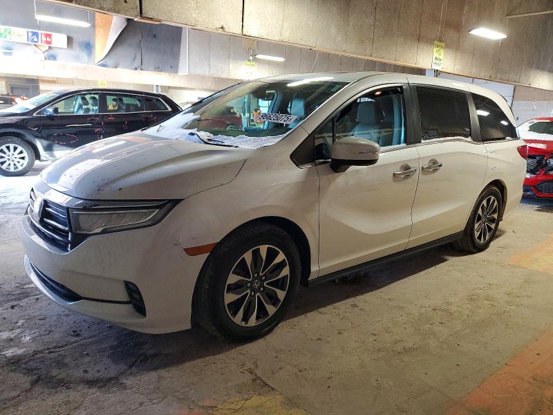 HONDA ODYSSEY 2022 with VIN 5FNRL6H71NB033648 - Photo from auction