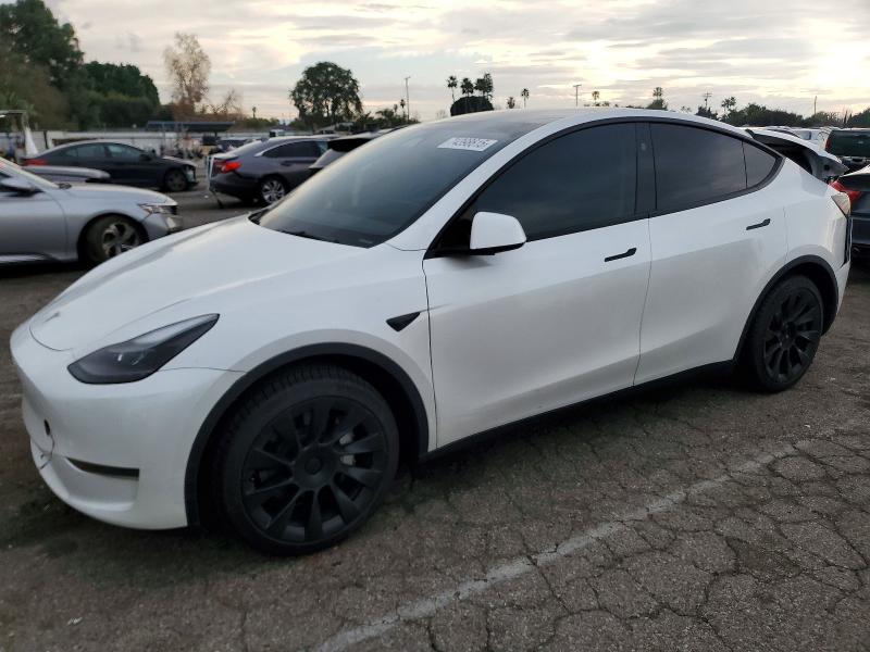 TESLA MODEL Y 2024 with VIN 7SAYGDED8RF094681 - Photo from auction