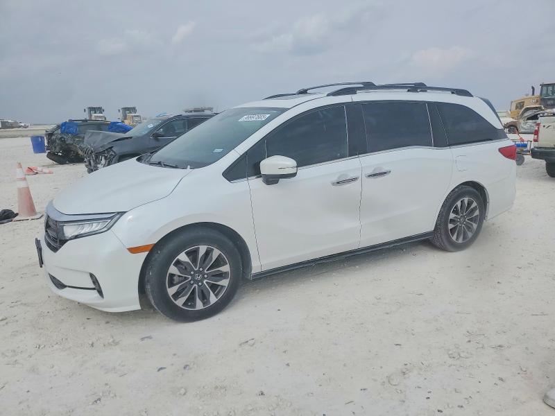 HONDA ODYSSEY EX 2024 with VIN 5FNRL6H66RB016499 - Photo from auction