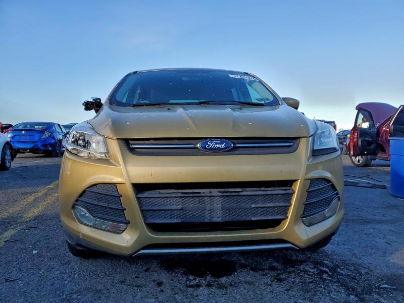 Photo 5 from auction – 2014 FORD ESCAPE SE with VIN 1FMCU0GX1EUD07113