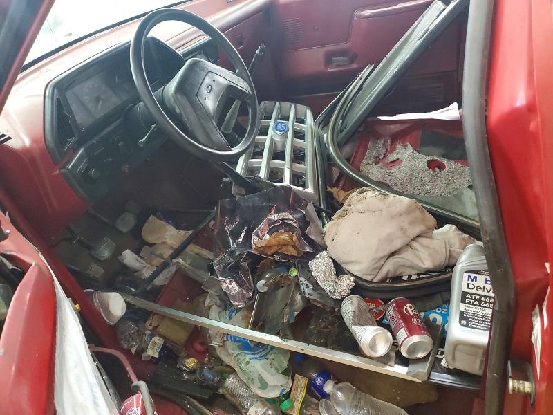 Photo 7 from auction – 1991 FORD F150 with VIN 1FTDF15Y3MLA49332