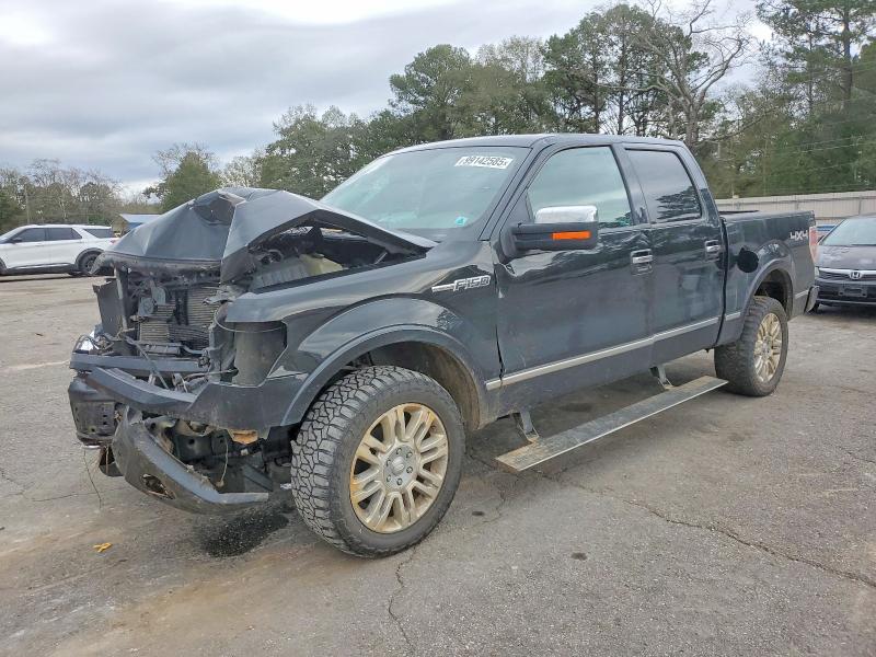 FORD F150 2010 with VIN 1FTFW1EV2AFB49396 - Photo from auction