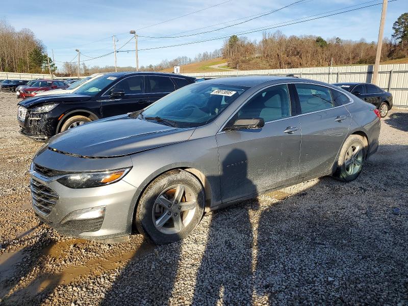 CHEVROLET MALIBU LS 2023 with VIN 1G1ZC5ST7PF218035 - Photo from auction