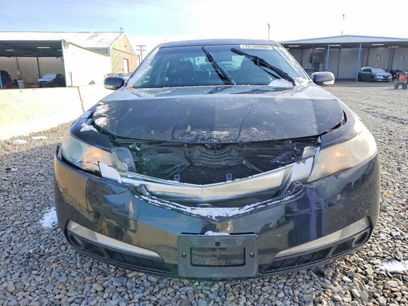 Photo 5 from auction – 2010 ACURA TL with VIN 19UUA8F50AA004479