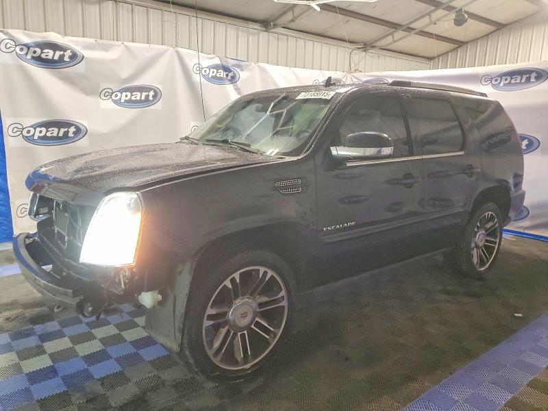 CADILLAC ESCALADE 2013 with VIN 1GYS3CEF8DR224613 - Photo from auction
