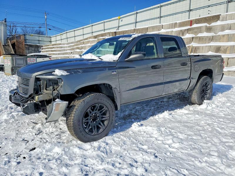DODGE DAKOTA 2010 with VIN 1D7CW3GP9AS101064 - Photo from auction