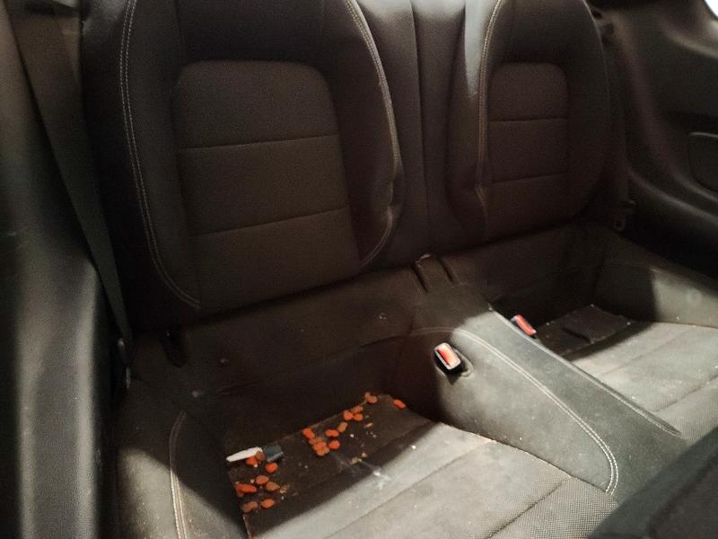 Photo 10 from auction – 2015 FORD MUSTANG with VIN 1FA6P8AM1F5380277