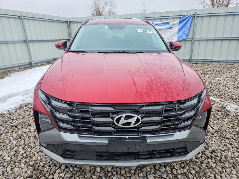 Photo 5 from auction – 2025 HYUNDAI TUCSON SEL with VIN 5NMJBCDEXSH477995