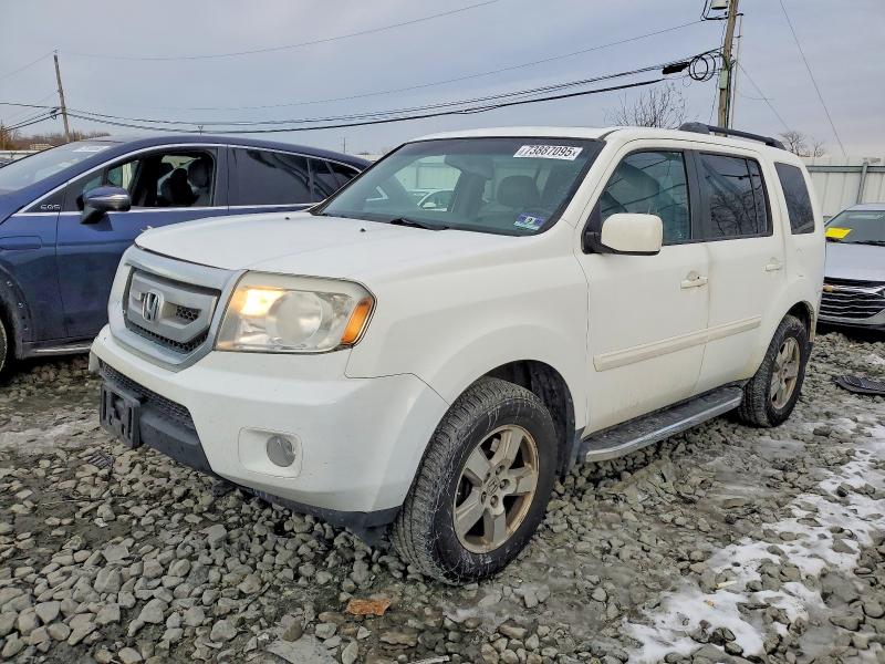 HONDA PILOT EXL 2011 with VIN 5FNYF4H56BB104733 - Photo from auction