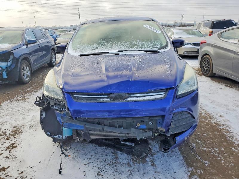 Photo 5 from auction – 2013 FORD ESCAPE SE with VIN 1FMCU0GX8DUB45611