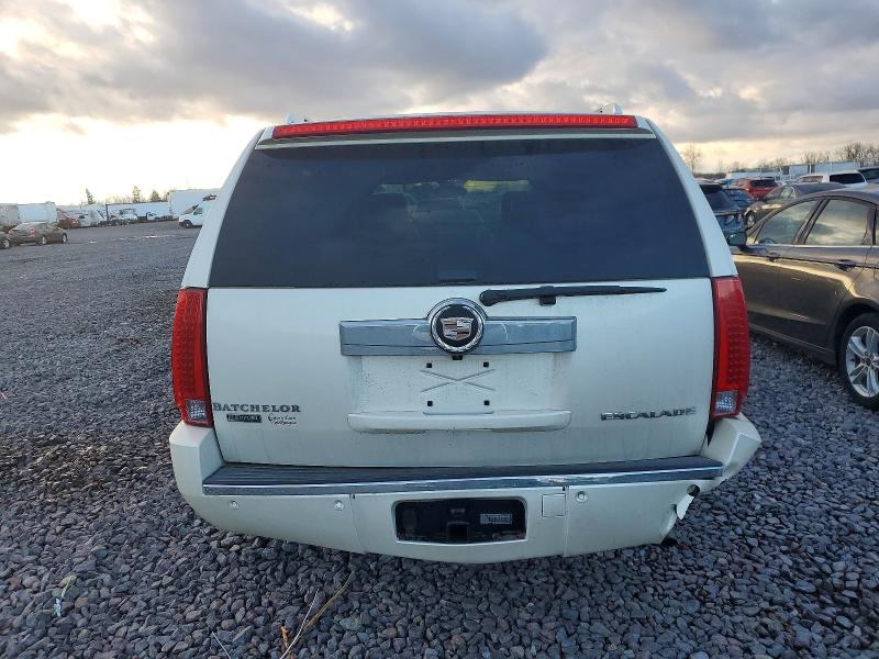 Photo 6 from auction – 2010 CADILLAC ESCALADE with VIN 1GYUCJEFXAR201150