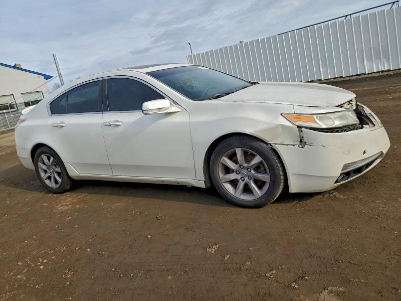 Photo 4 from auction – 2009 ACURA TL with VIN 19UUA86599A007294