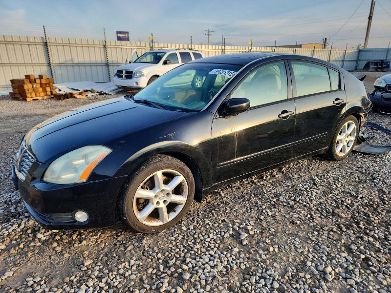 NISSAN MAXIMA SE 2006 with VIN 1N4BA41EX6C837312 - Photo from auction