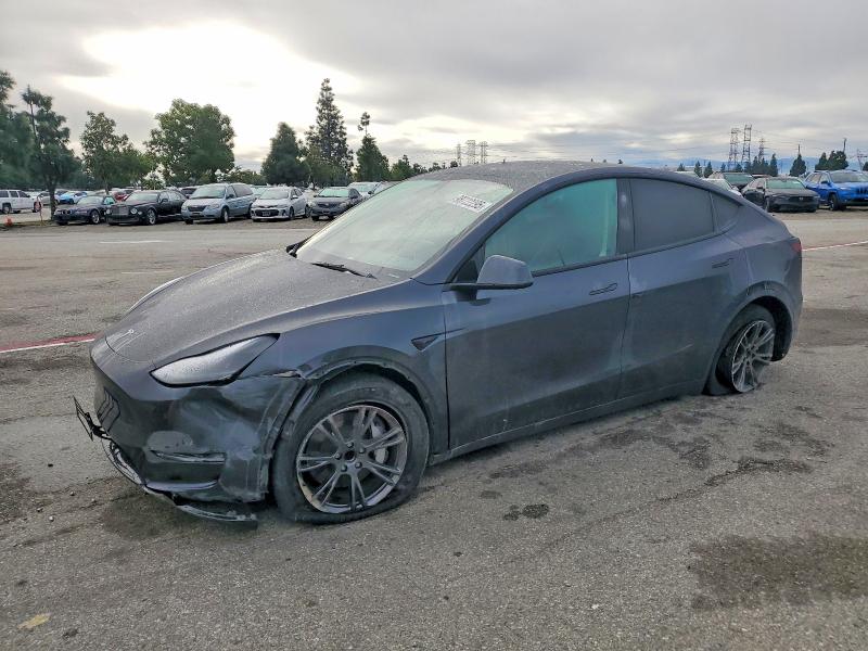 TESLA MODEL Y 2025 with VIN 7SAYGDED5SF260810 - Photo from auction