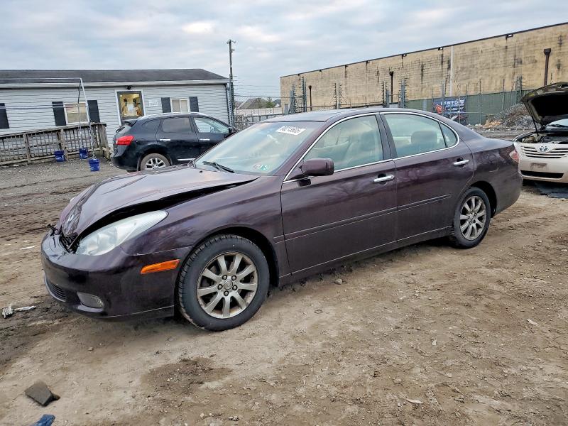 LEXUS ES 330 2004 with VIN JTHBA30G745021584 - Photo from auction