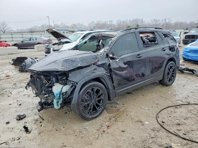 GMC TERRAIN 2019 with VIN 3GKALPEX8KL381035 - Photo from auction