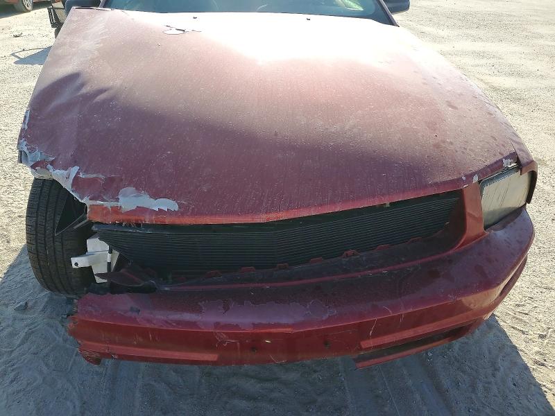 Photo 11 from auction – 2005 FORD MUSTANG with VIN 1ZVFT80N255154891