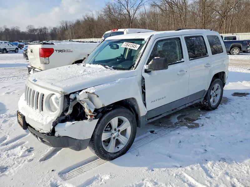 JEEP PATRIOT 2015 with VIN 1C4NJPFB7FD203568 - Photo from auction