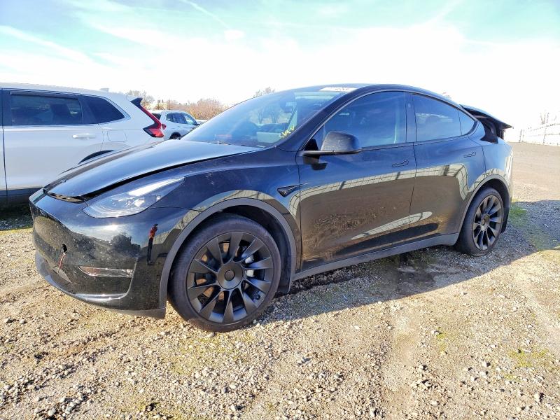 TESLA MODEL Y 2024 with VIN 7SAYGDEE9RF070141 - Photo from auction