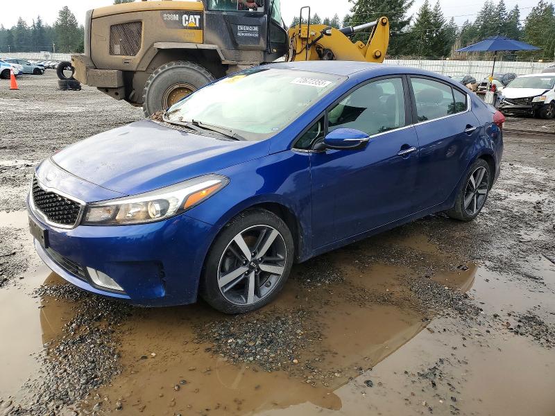 KIA FORTE EX 2018 with VIN 3KPFL4A89JE165809 - Photo from auction