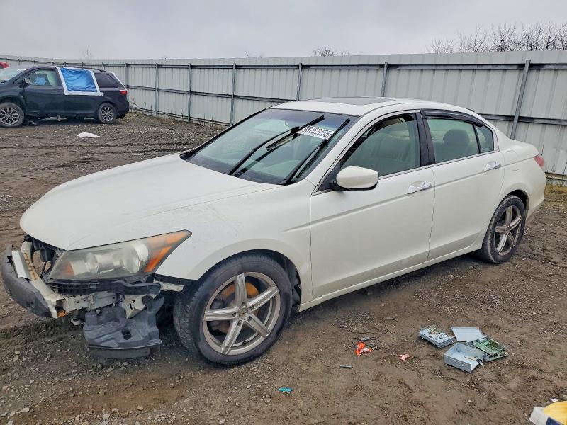 HONDA ACCORD EXL 2009 with VIN 1HGCP36849A048858 - Photo from auction