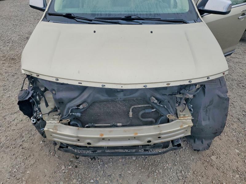 Photo 12 from auction – 2010 LINCOLN MKX with VIN 2LMDJ8JC3ABJ18842