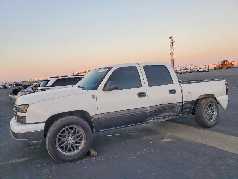 CHEVROLET SILVERADO 2006 with VIN 2GCEC13TX61160246 - Photo from auction