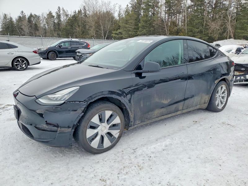 TESLA MODEL Y 2022 with VIN 7SAYGDEE7NF421445 - Photo from auction