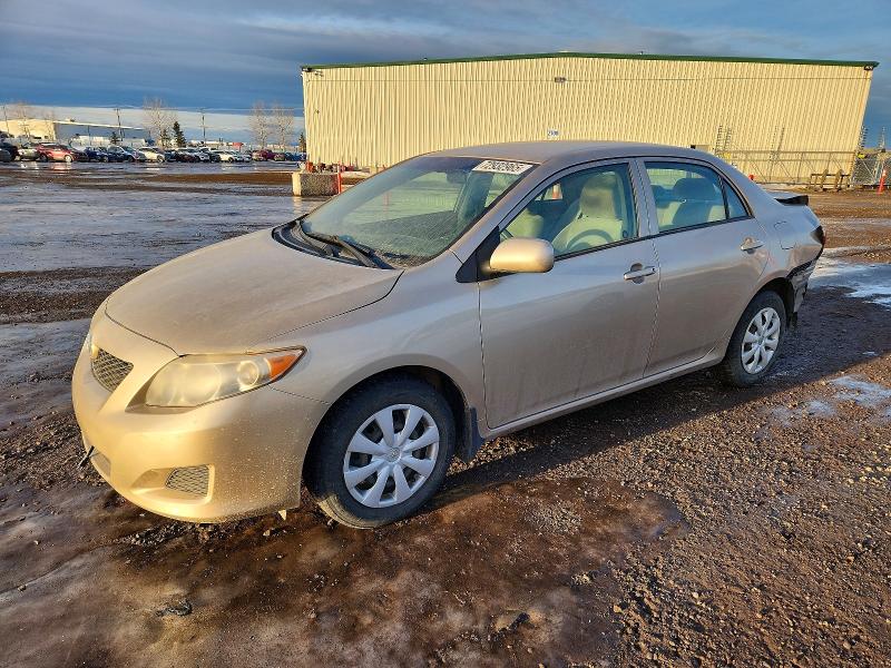 TOYOTA COROLLA BA 2009 with VIN 2T1BU40E09C174458 - Photo from auction