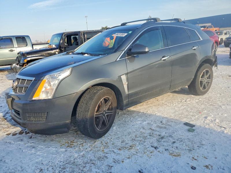 CADILLAC SRX 2011 with VIN 3GYFNGEY0BS574770 - Photo from auction