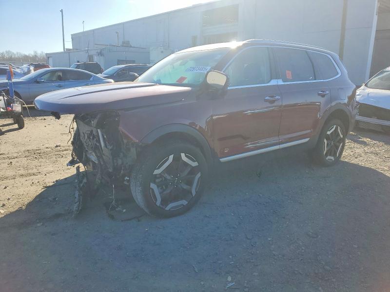 KIA TELLURIDE 2023 with VIN 5XYP6DGC8PG333894 - Photo from auction
