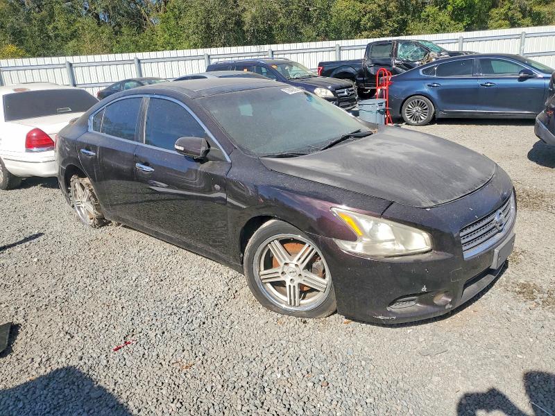 Photo 4 from auction – 2010 NISSAN MAXIMA with VIN 1N4AA5AP9AC800781