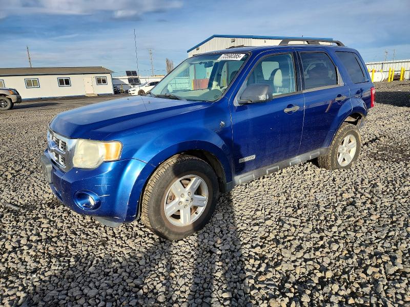 FORD ESCAPE HEV 2008 with VIN 1FMCU59H28KA46142 - Photo from auction