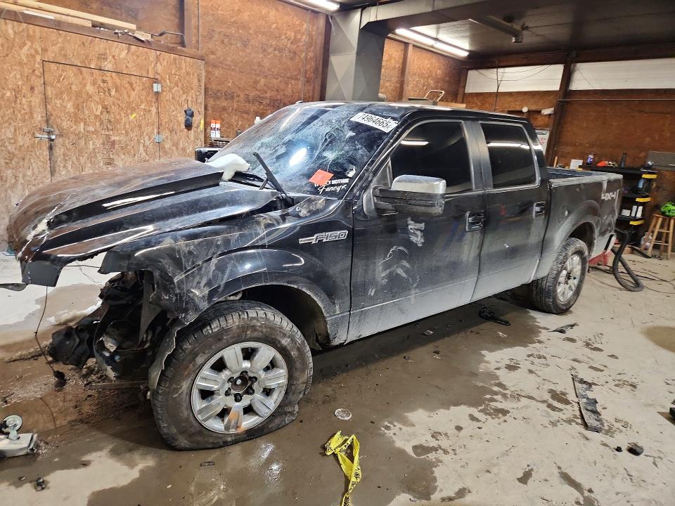 FORD F150 2011 with VIN 1FTFW1EF8BFB31009 - Photo from auction
