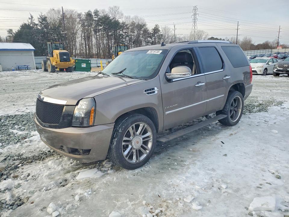 CADILLAC ESCALADE P 2014 with VIN 1GYS4DEF9ER240789 - Photo from auction
