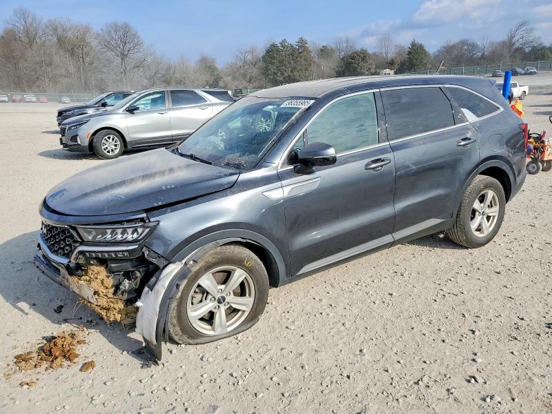 KIA SORENTO 2023 with VIN 5XYRG4LC9PG207149 - Photo from auction