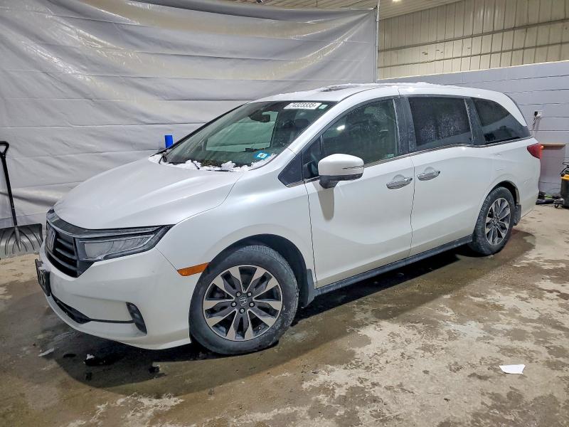 HONDA ODYSSEY EX 2022 with VIN 5FNRL6H70NB037481 - Photo from auction