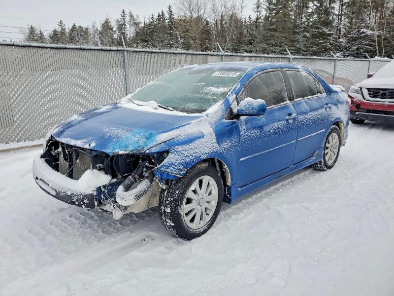 TOYOTA COROLLA 2010 with VIN 2T1BU4EE9AC426821 - Photo from auction