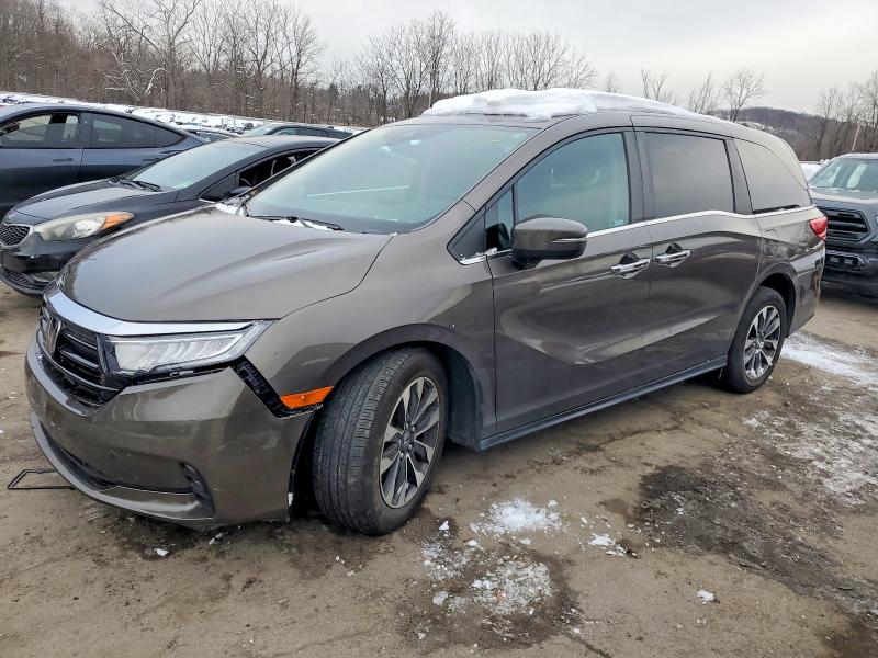 HONDA ODYSSEY 2023 with VIN 5FNRL6H68PB014380 - Photo from auction