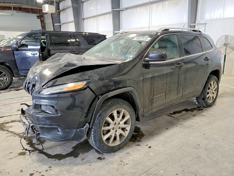 JEEP CHEROKEE 2014 with VIN 1C4PJMDS9EW133973 - Photo from auction