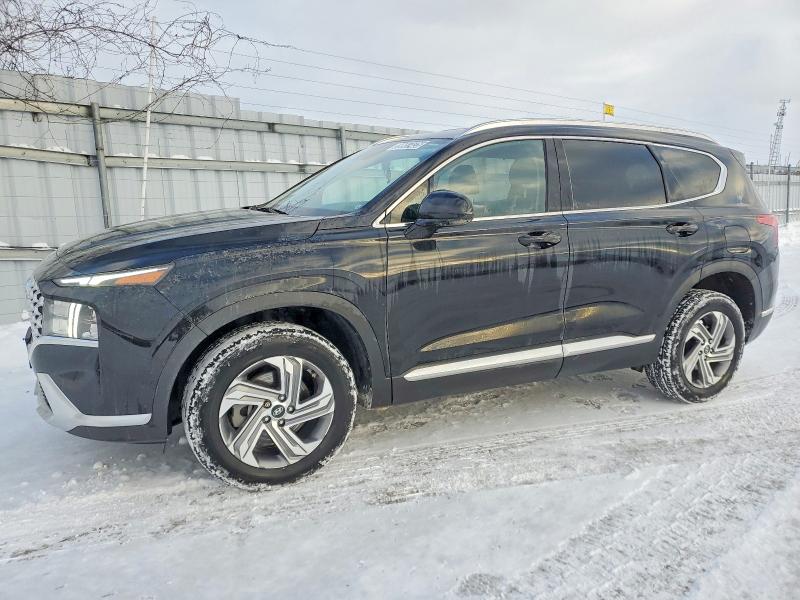 HYUNDAI SANTA FE S 2023 with VIN 5NMS3DAJ4PH483629 - Photo from auction